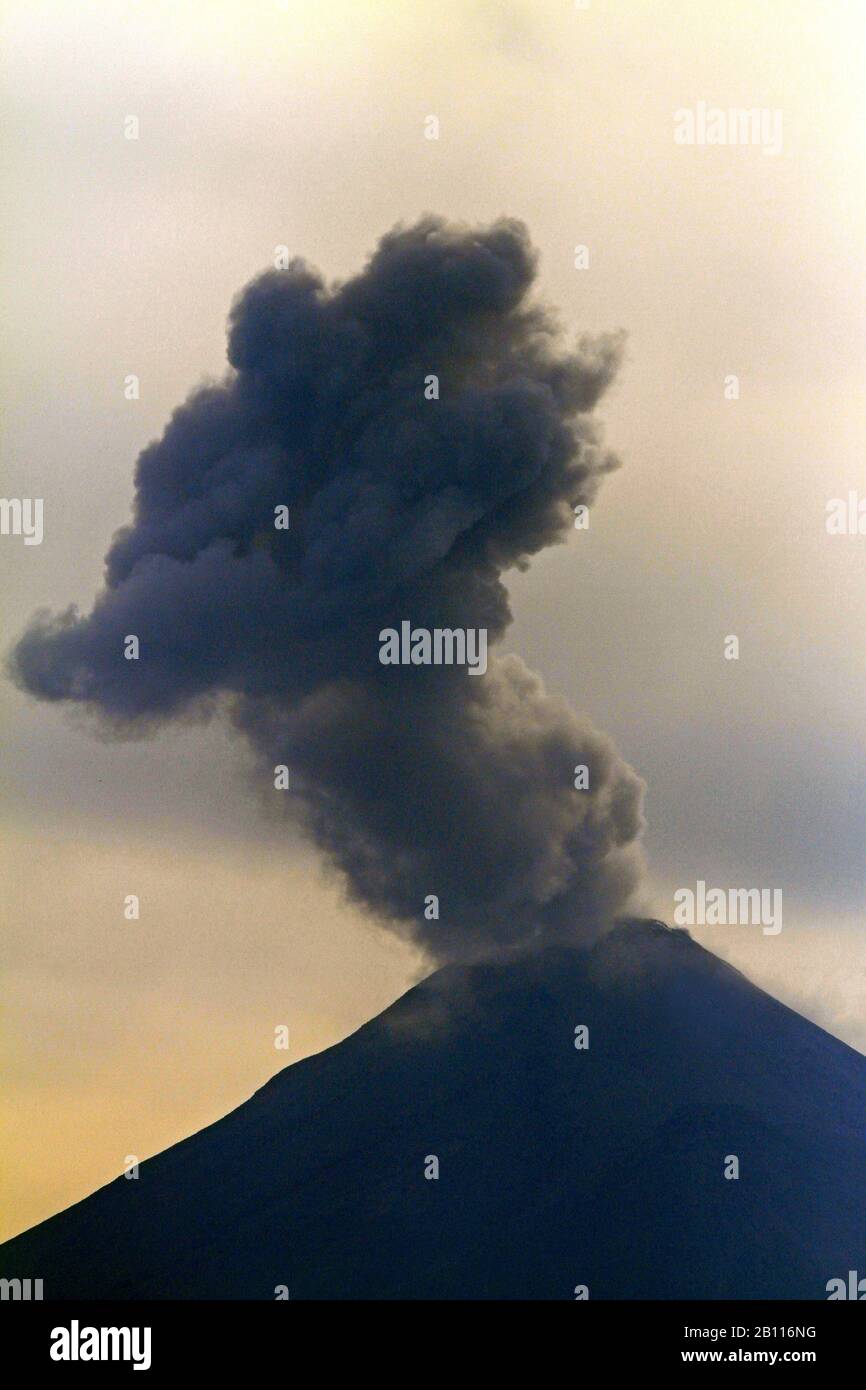 Volcán de Fuego with smoke cloud, Mexico Stock Photo