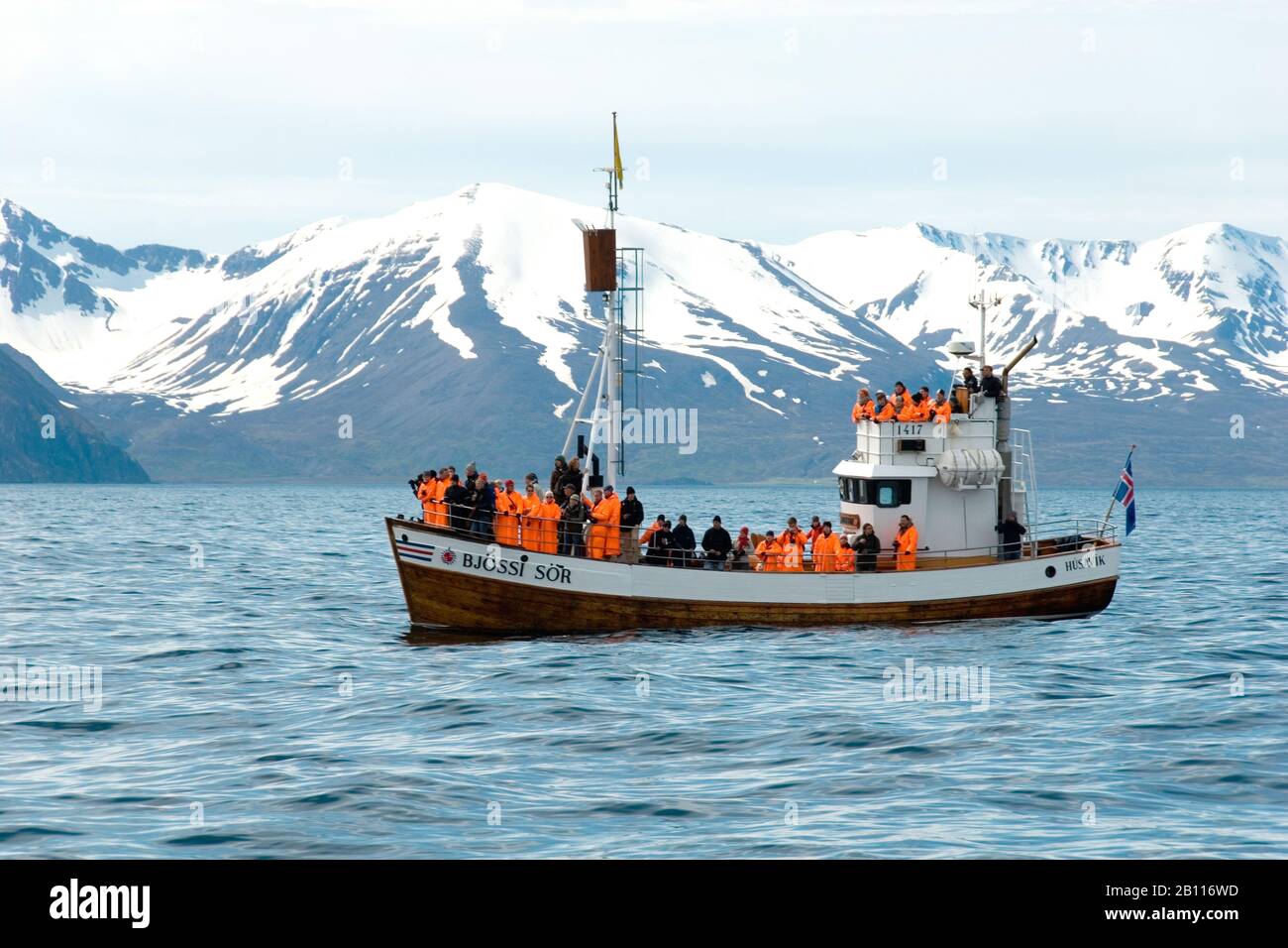 tourists on a whale watching boat, Iceland, Husavik Stock Photo