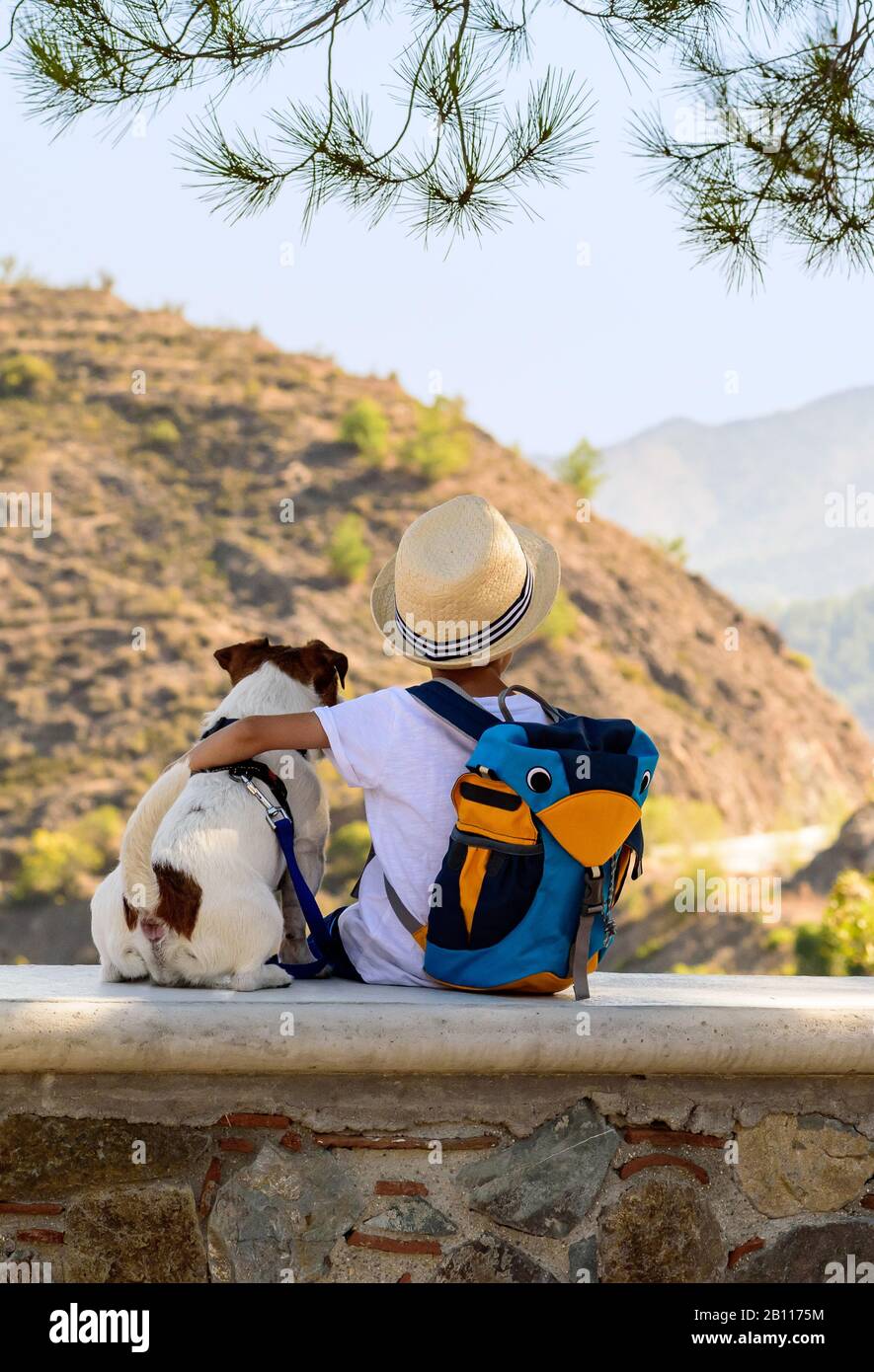 Healthy and adventurous lifestyle concept with kid hugging dog on stone bench looking at mountains (view from behind) Stock Photo