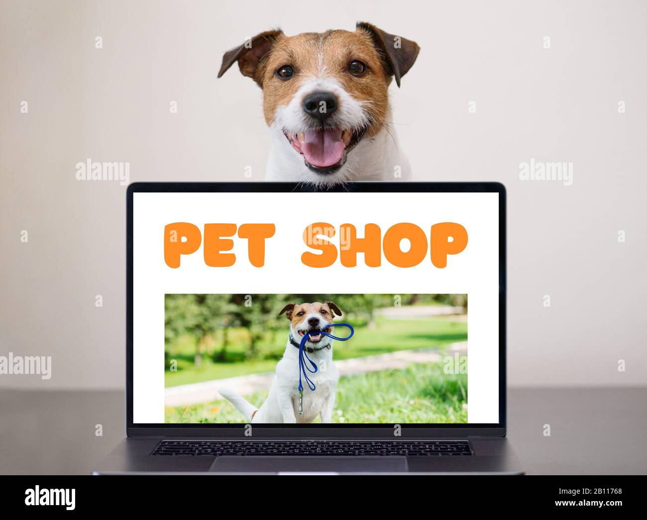 Internet pet store hi-res stock photography and images - Alamy