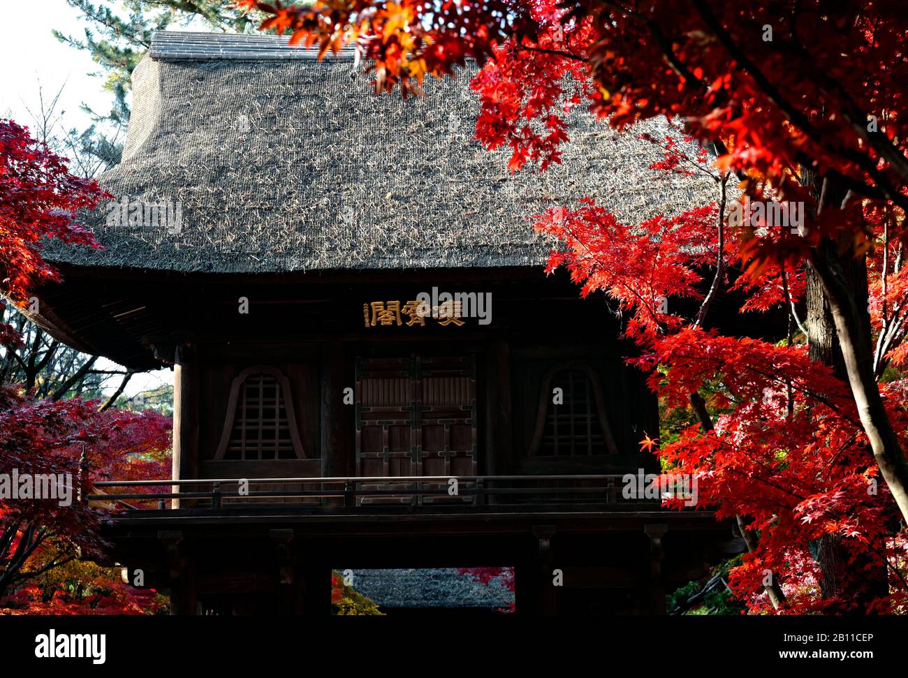 Japan, Honshu island, Kanto, Tokyo, sanctuary and gardens in autumn. Stock Photo