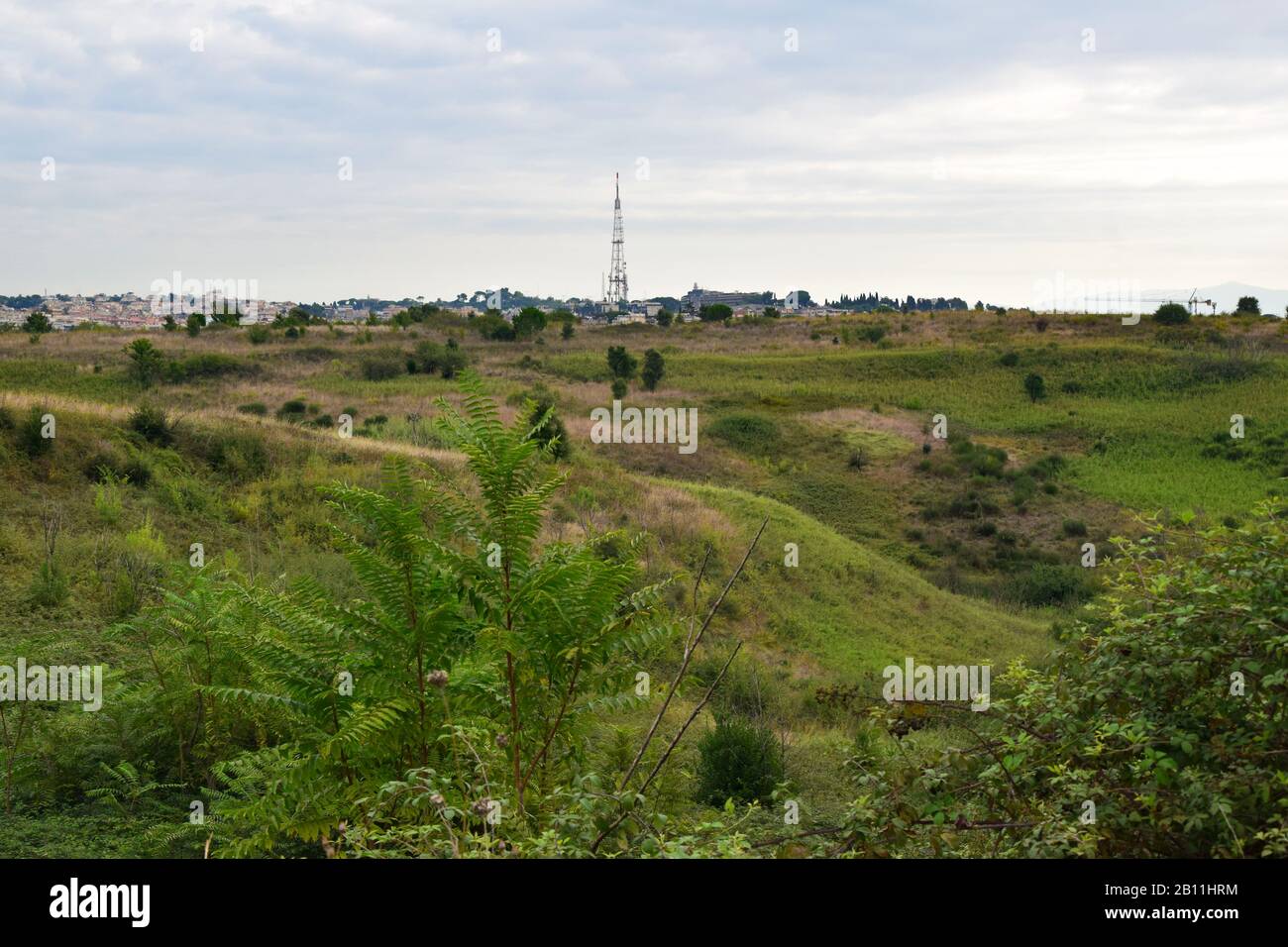 Pinot Parks Walk through Pineto Regional Park Stock Photo - Alamy