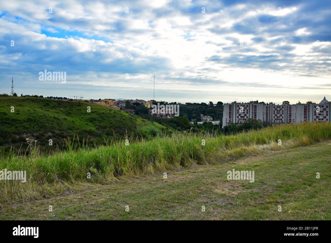 Pinot Parks Walk through Pineto Regional Park Stock Photo - Alamy