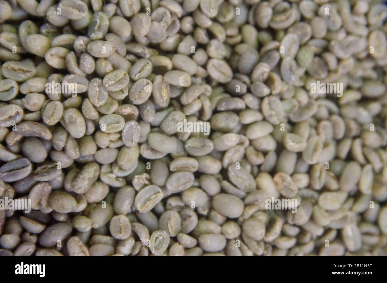 Coffee Beans Natural Stock Photo Alamy