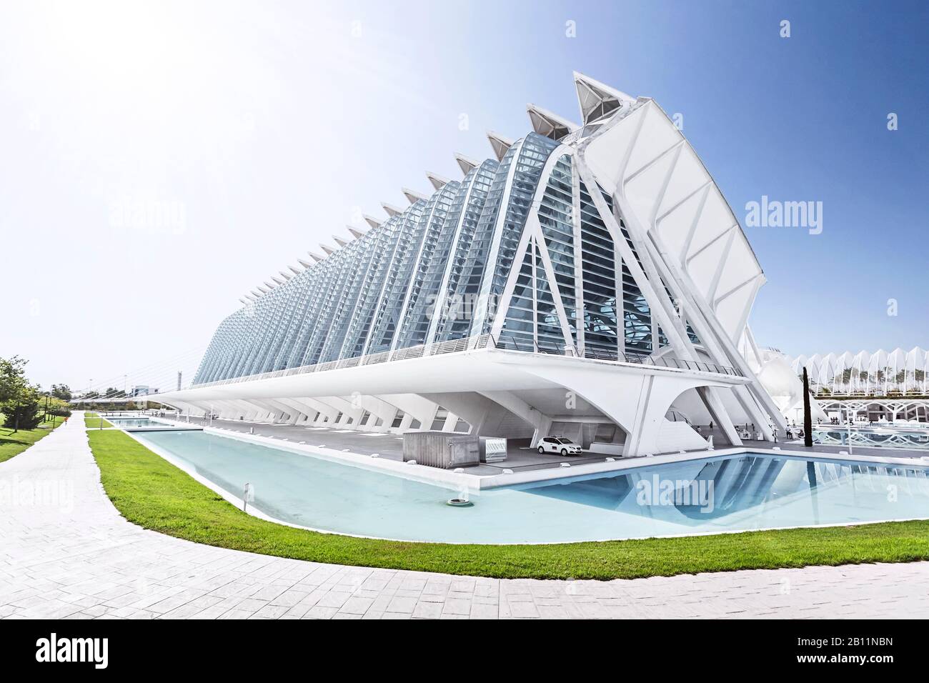 Architektur von Santiago Calatrava, Museo de las Ciencias Principe Felipe, Ciudad de las Artes y las Ciencias, Valencia, Spain Stock Photo