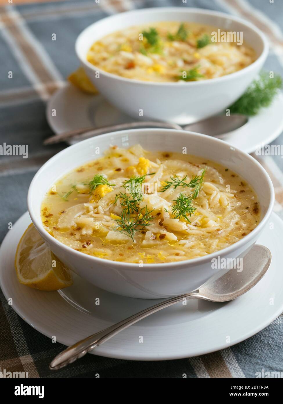 Lemony Fennel Soup with Orzo Stock Photo