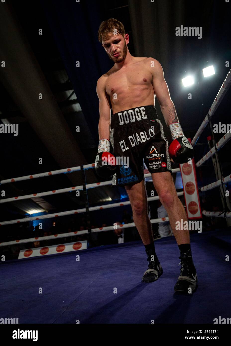 TAUNTON, UNITED KINGDOM. 21 Feb 2020. Yeovil boxer Dean Dodge (black trunks) fought Birmingham boxer and former English Champion & WBC International Super Bantamweight Champion Sean Davis (white trunks) at the Wellsprings Leisure Centre in Taunton, hosted by Priority Boxing Promotions. He fought hard to get a knock-out from the start but due to damaging his right hand in the second round he was hindered but won on points after 6 three-minute rounds. This makes Dodge, nicknamed El Diablo, undefeated in 10 professional fights and confident of a title shot in the near future. Stock Photo