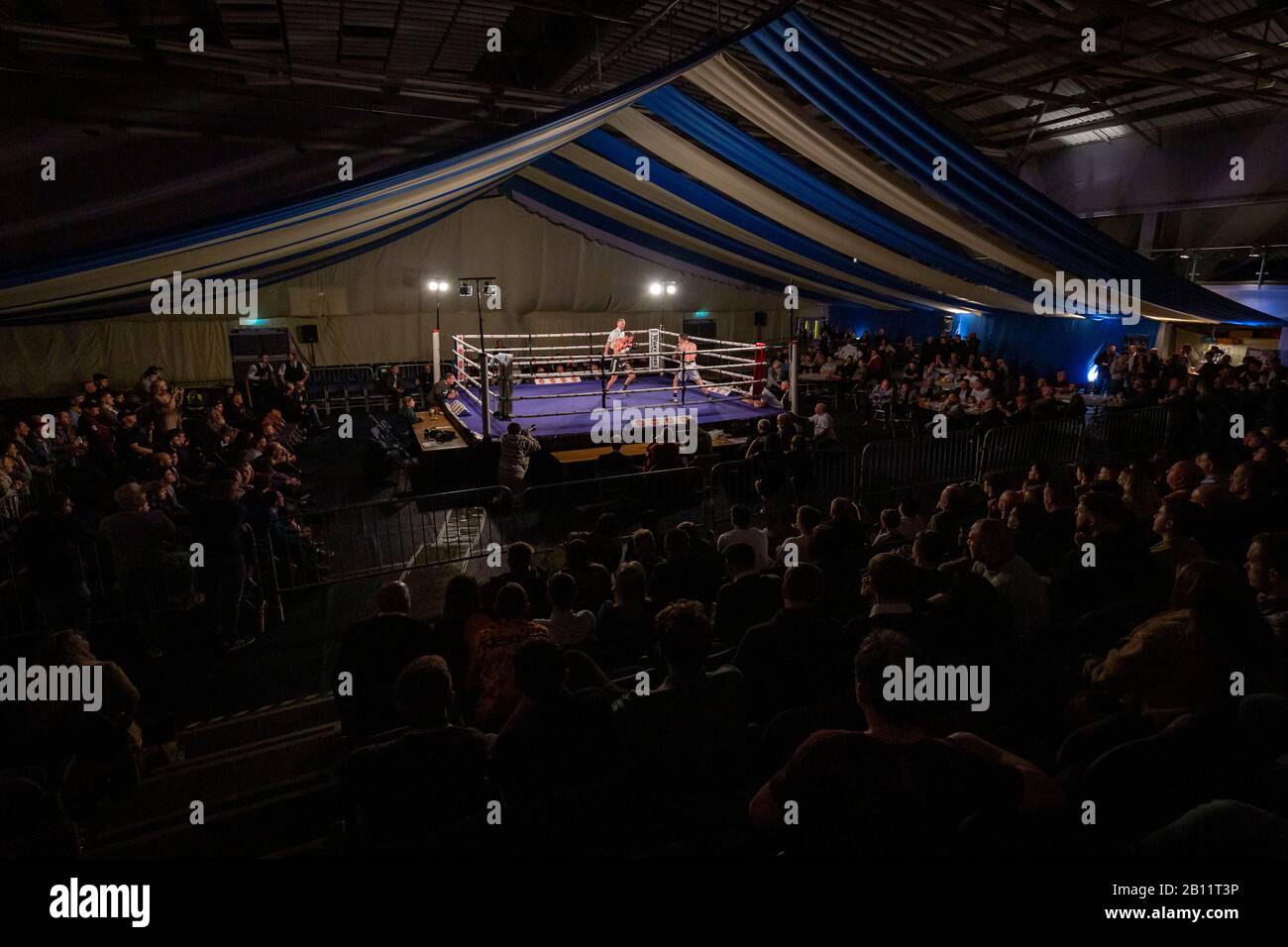 TAUNTON, UNITED KINGDOM. 21 Feb 2020. Yeovil boxer Dean Dodge (black trunks) fought Birmingham boxer and former English Champion & WBC International Super Bantamweight Champion Sean Davis (white trunks) at the Wellsprings Leisure Centre in Taunton, hosted by Priority Boxing Promotions. He fought hard to get a knock-out from the start but due to damaging his right hand in the second round he was hindered but won on points after 6 three-minute rounds. This makes Dodge, nicknamed El Diablo, undefeated in 10 professional fights and confident of a title shot in the near future. Stock Photo