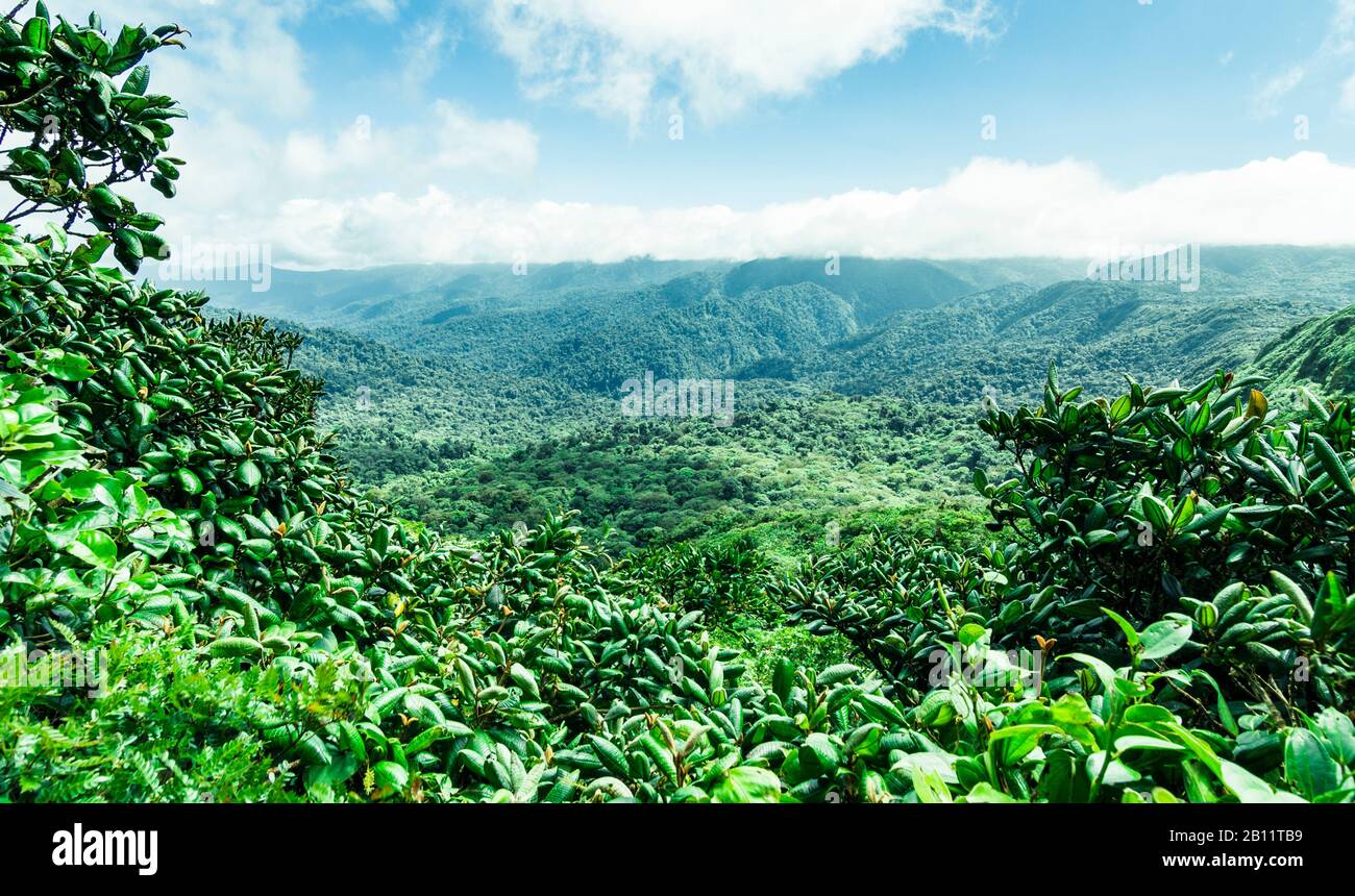 View over Monteverde Biological Reserve, Costa Rica, Central America Stock Photo
