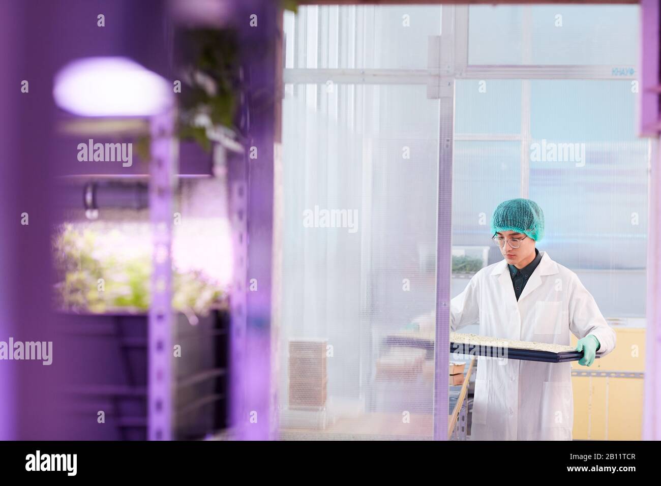 Asian young scientist holding tray with samples and walking along the laboratory Stock Photo