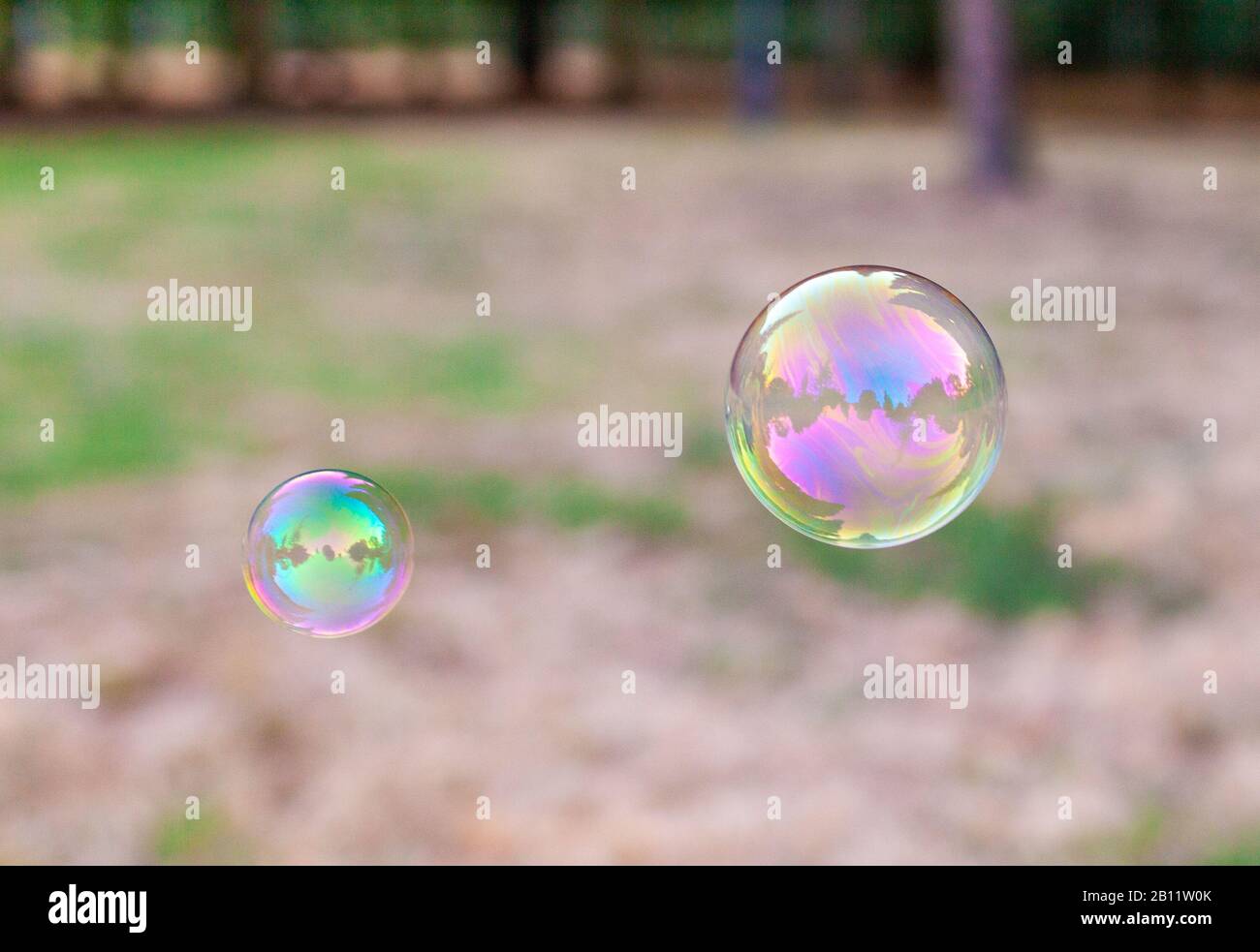 Colorful soap bubbles with reflections Stock Photo