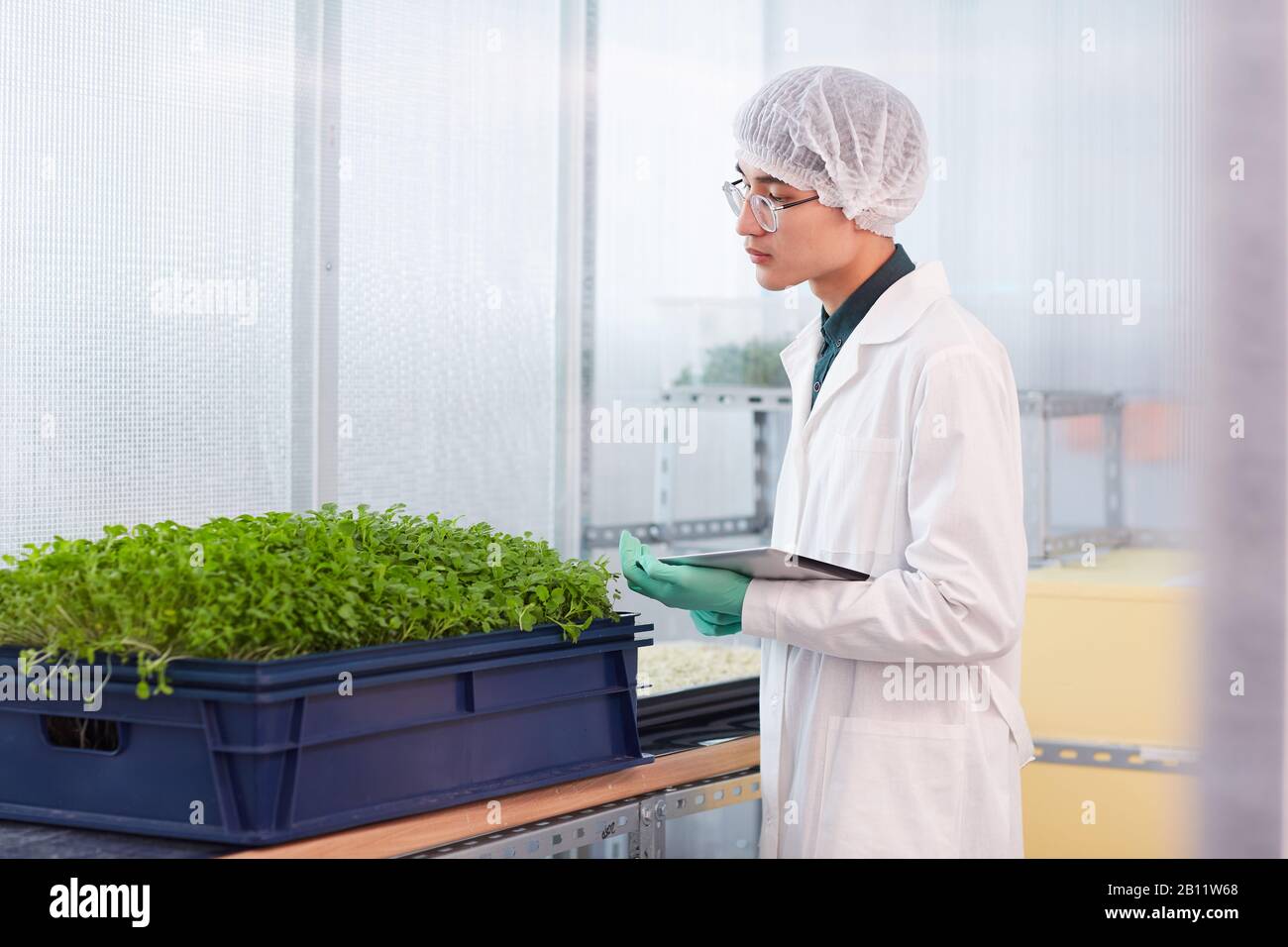Asian young botanist in white coat using digital tablet in his work with young green plants in the lab Stock Photo