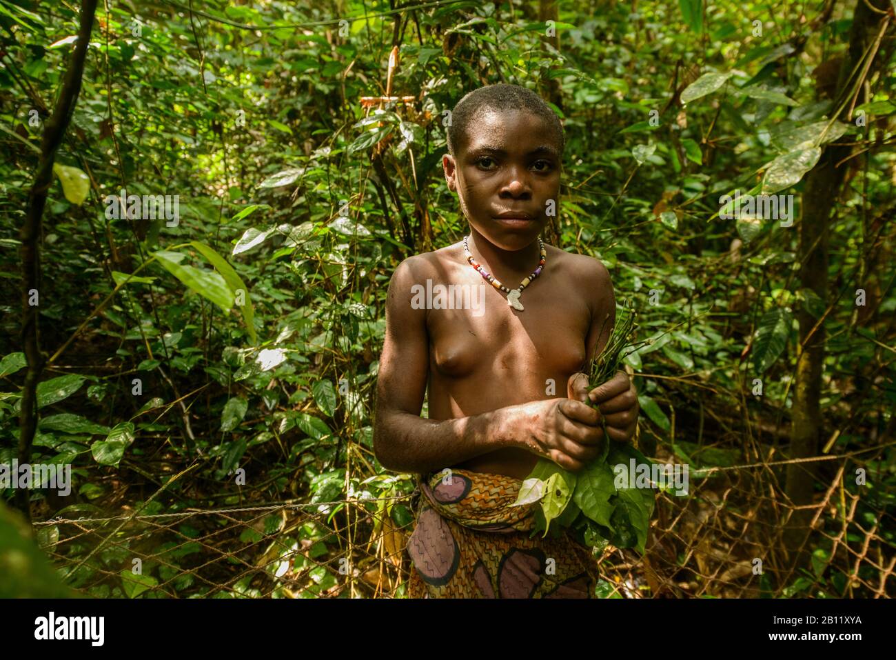 Pygmies Of The Rainforest