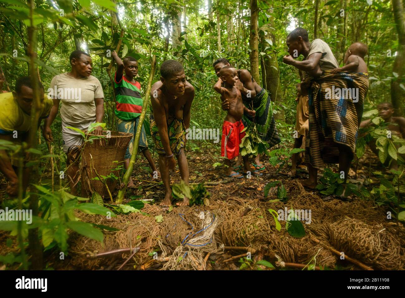 The Aka Pygmies: A Journey into the Heart of the Central African Rainforest