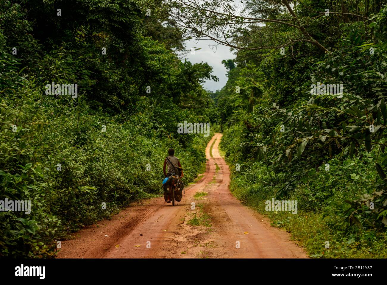 Cycling through the Congolese jungle, Democratic Republic of the Congo, Africa Stock Photo