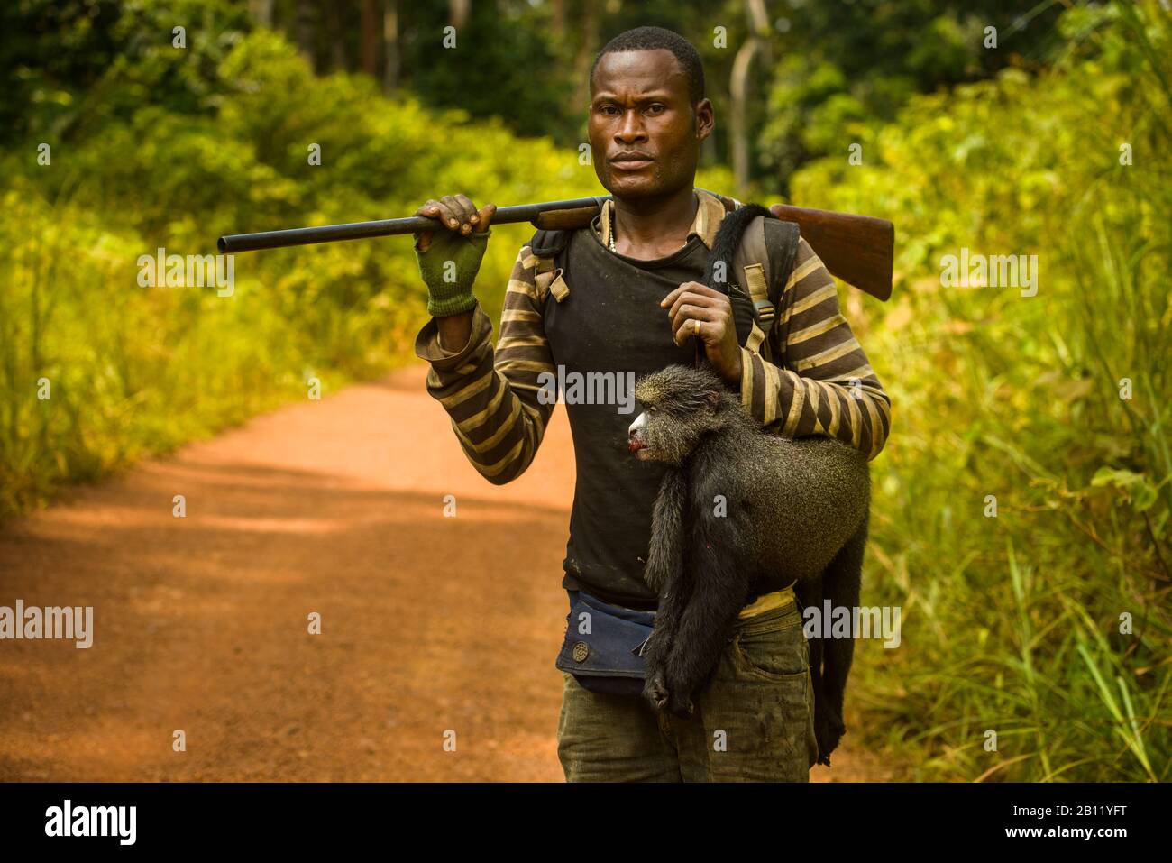 Poachers in the equatorial rainforest, Gabon, Central Africa Stock Photo