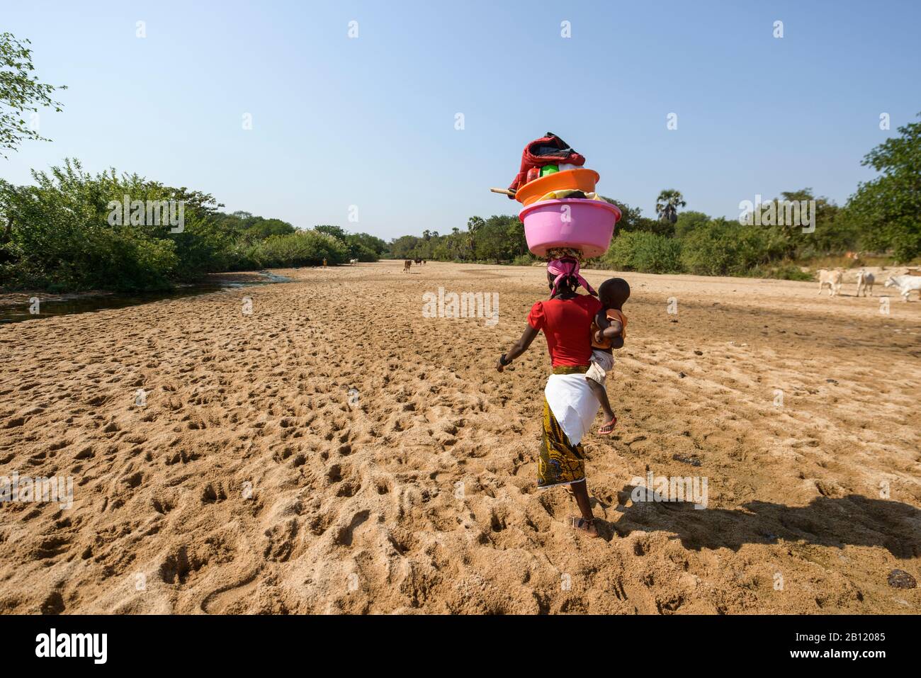 Finding water in a river bed in southern Angola, Africa Stock Photo