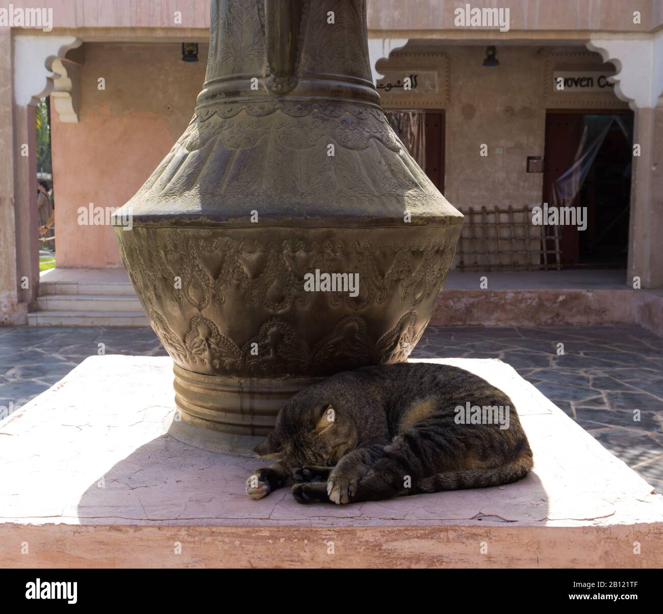 Cat taking a nap in the shade of a large Middle Eastern style jug Stock Photo