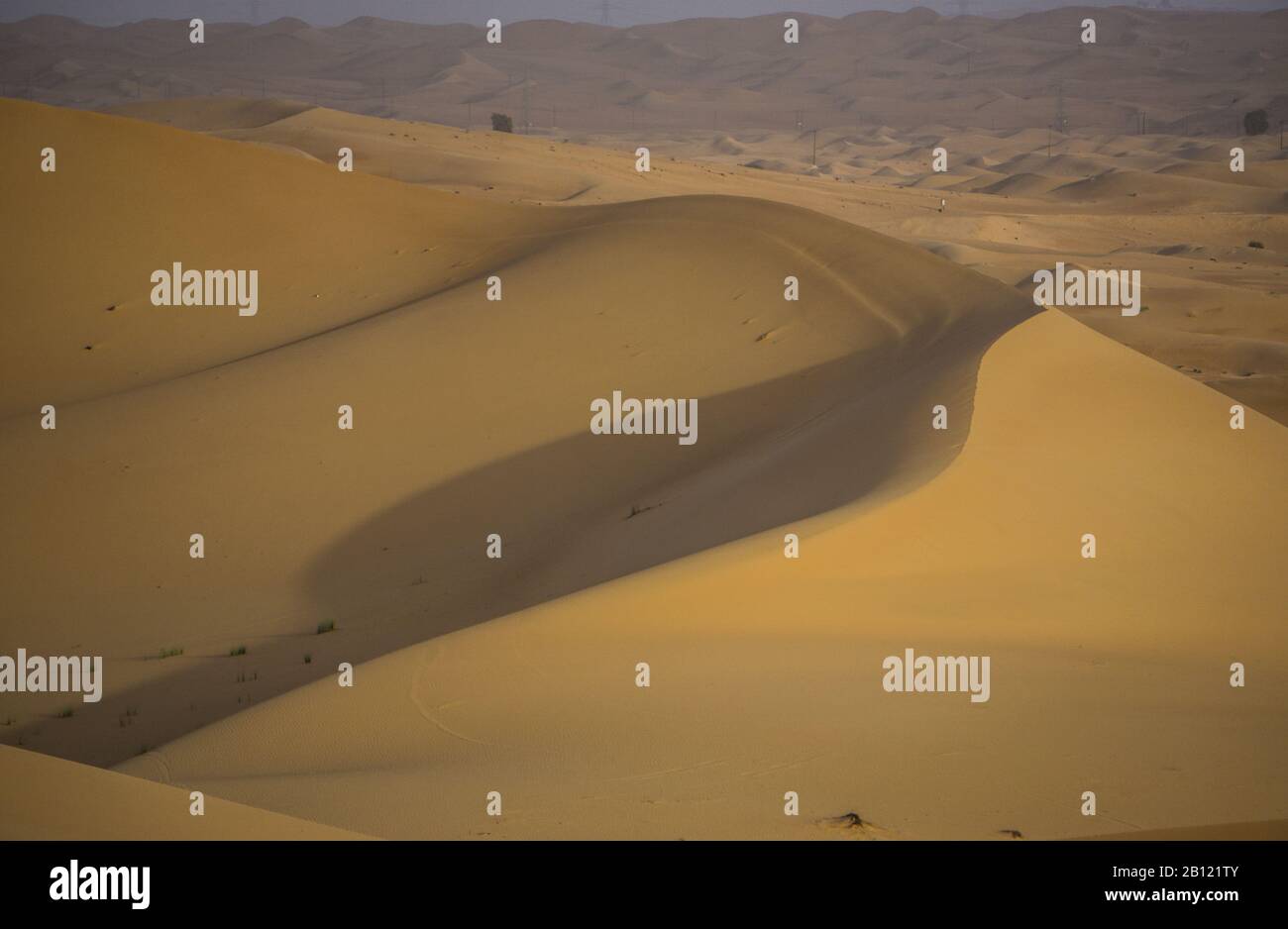 Late afternoon sunlight on a desert expanse Stock Photo