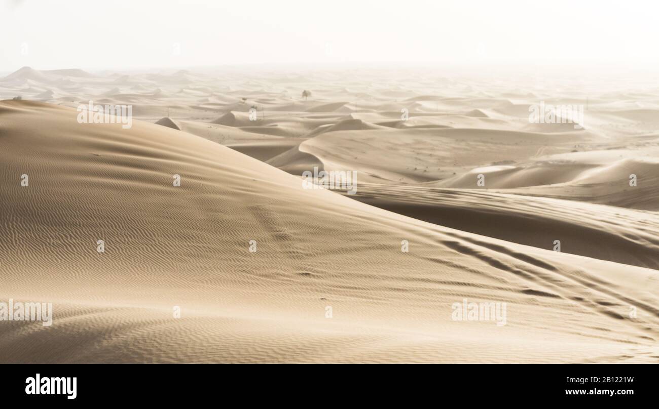 Late afternoon sunlight on a desert expanse Stock Photo