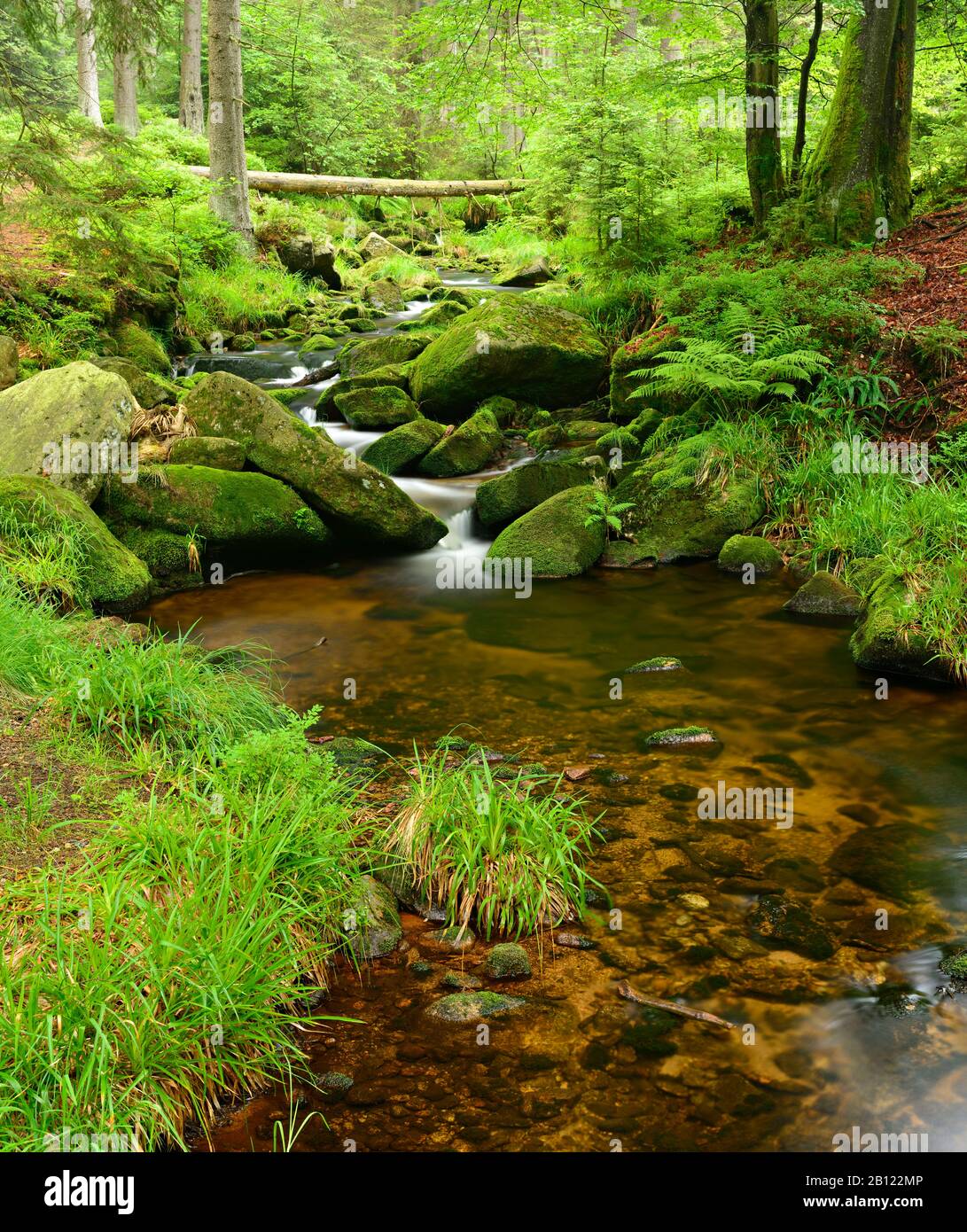 At the upper reaches of the Bode, Bergbach, boulders covered with moss in the Harz Mountains, near Braunlage, Lower Saxony, Germany Stock Photo