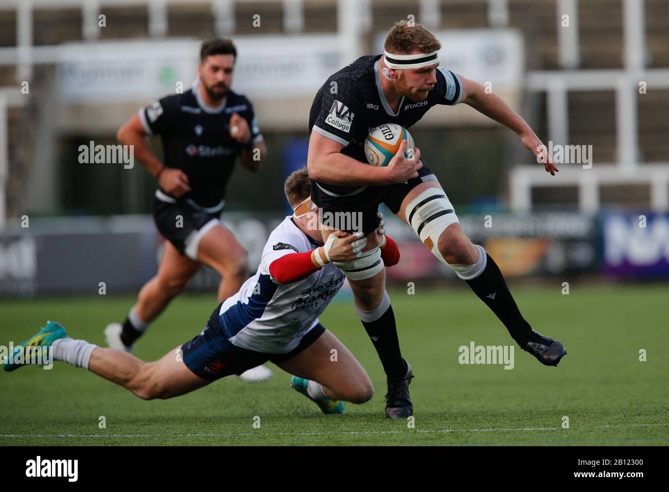 Newcastle, UK. 22nd Feb, 2020. Callum Chick of Newcastle Falcons on the charge during the Greene King IPA Championship match between Newcastle Falcons and London Scottish at Kingston Park, Newcastle on Saturday 22nd February 2020. (Credit: Chris Lishman | MI News) Credit: MI News & Sport /Alamy Live News Stock Photo