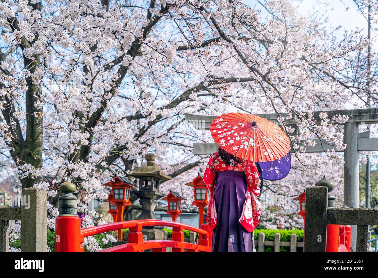 Asian woman wearing japanese traditional kimono and cherry blossom in spring, Kyoto temple in Japan. Stock Photo