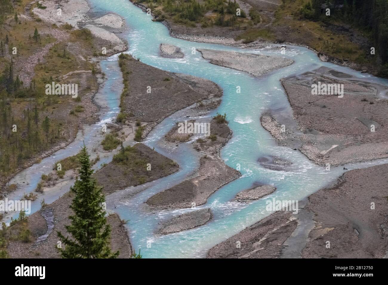 Braided section of the Robson River in Mount Robson Provincial Park, British Columbia, Canada Stock Photo