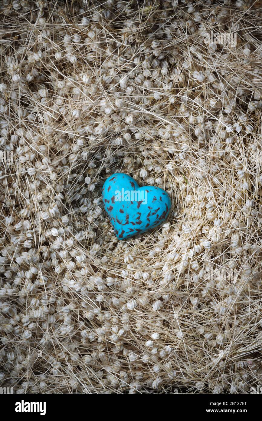 Speckled blue egg shaped heart in nest of seeds, Stock Photo