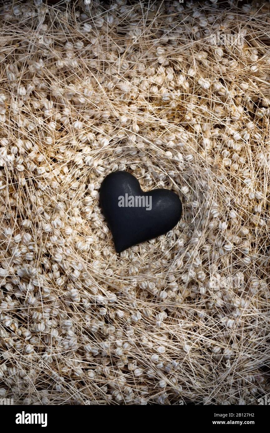Black heart in nest of dried seed heads Stock Photo