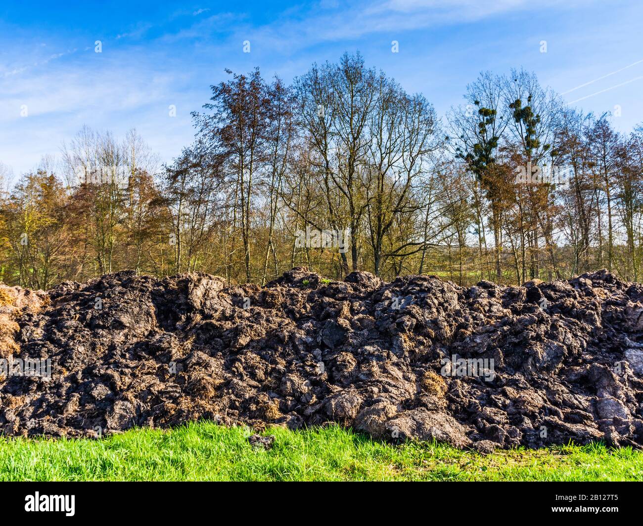 Pile of animal cattle waste for spreading on farmland - Touraine, France. Stock Photo