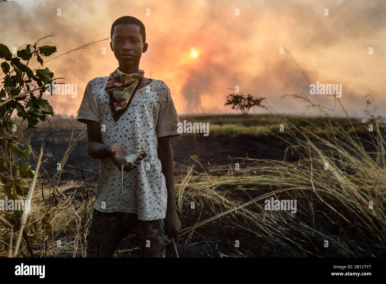 Kids hunting bush mice, during a fire, A source of protein in northern Ghana, Stock Photo
