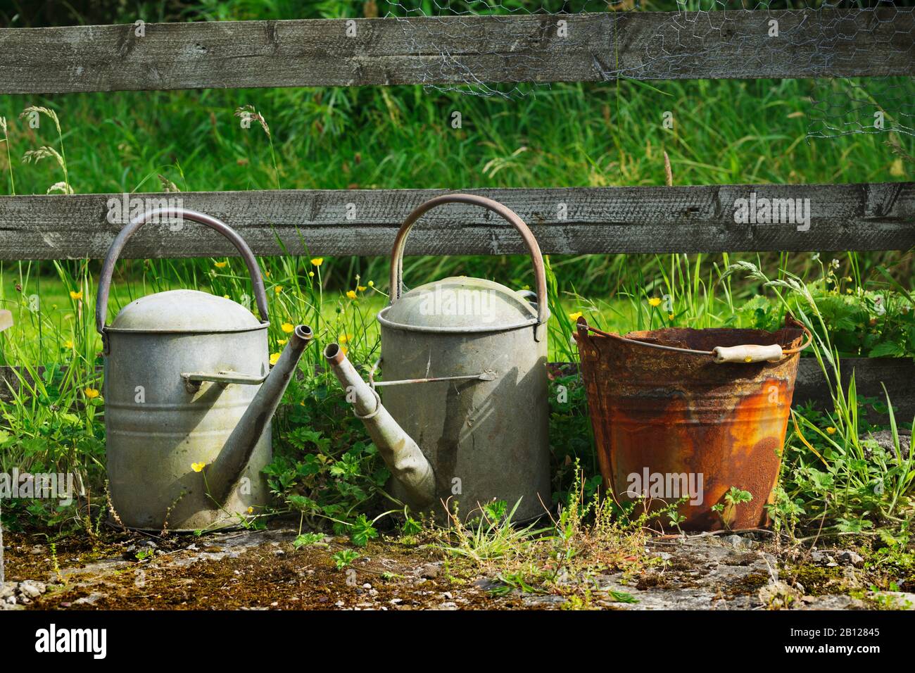 Old watering cans hires stock photography and images Alamy