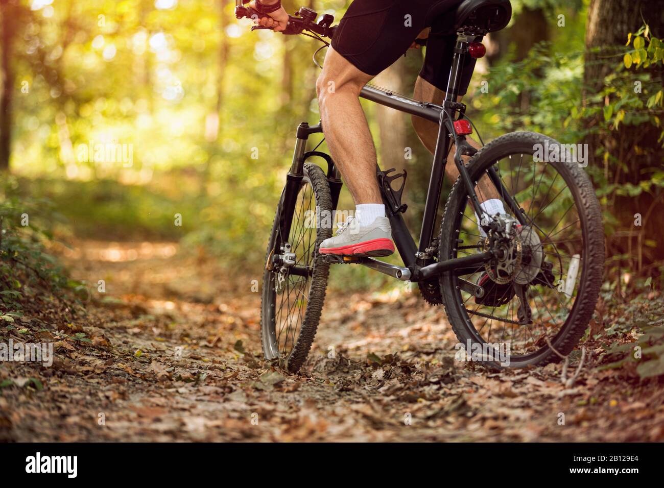 Muscular legs and mountain bike, outdoor trail Stock Photo Alamy