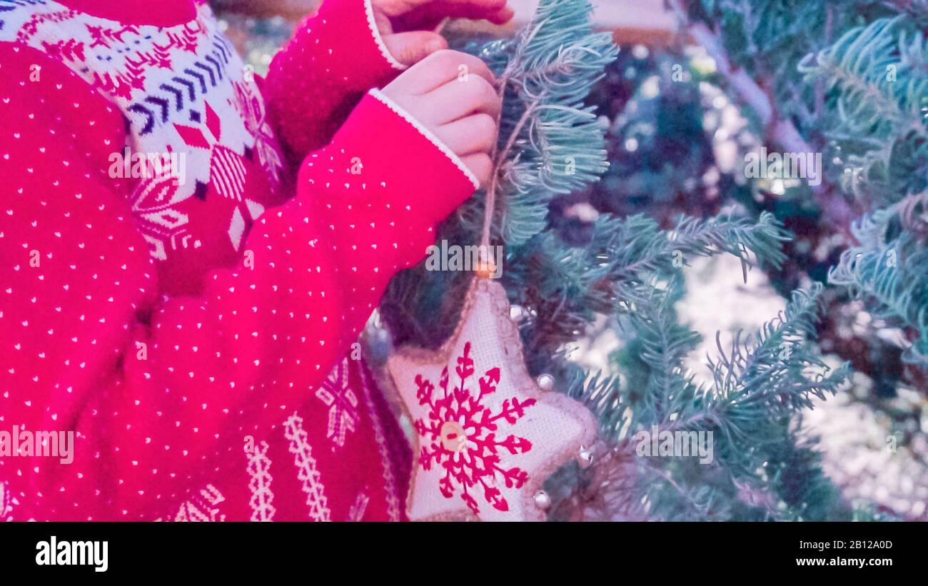 Christmas tree farm clarinda