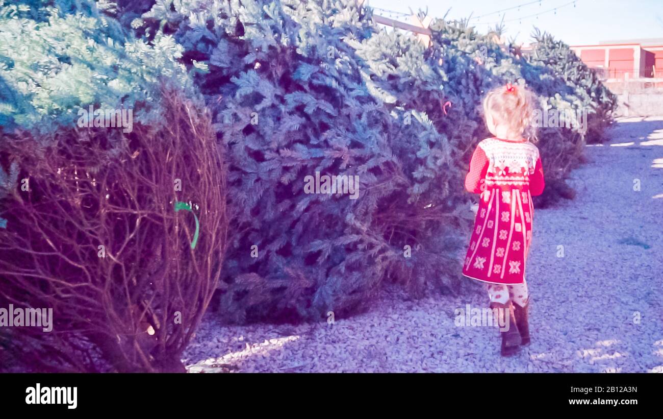Little girl in red dress on Christmas tree farm Stock Photo Alamy