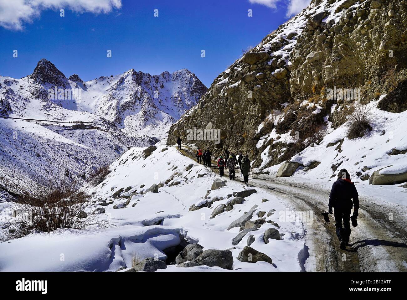 Tourist expedition searching snow leopard in Ulley valley. Ladakh ...