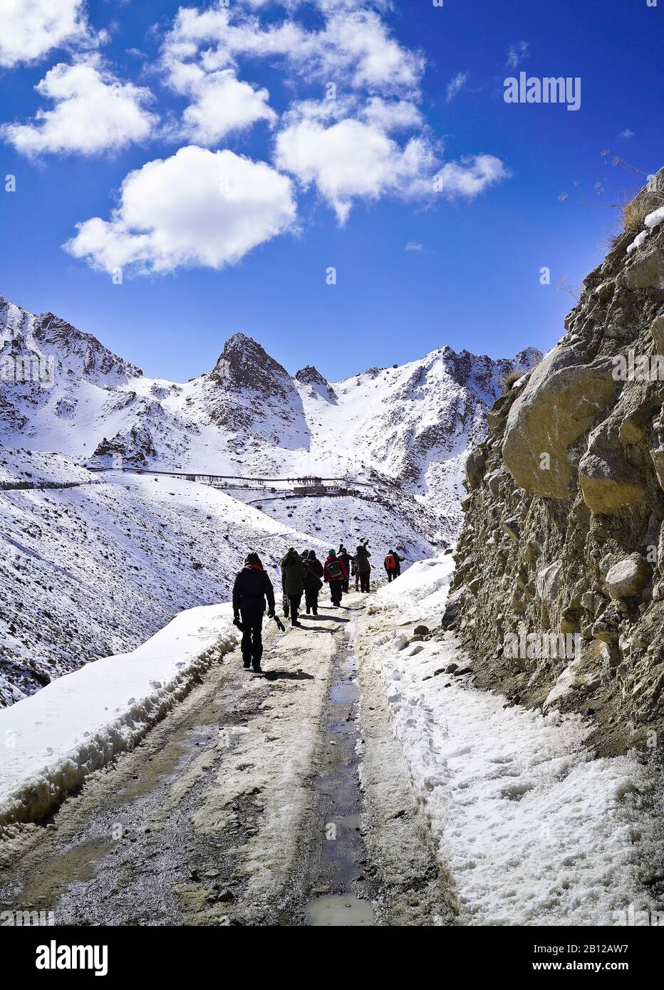 Tourist expedition searching snow leopard in Ulley valley. Ladakh ...