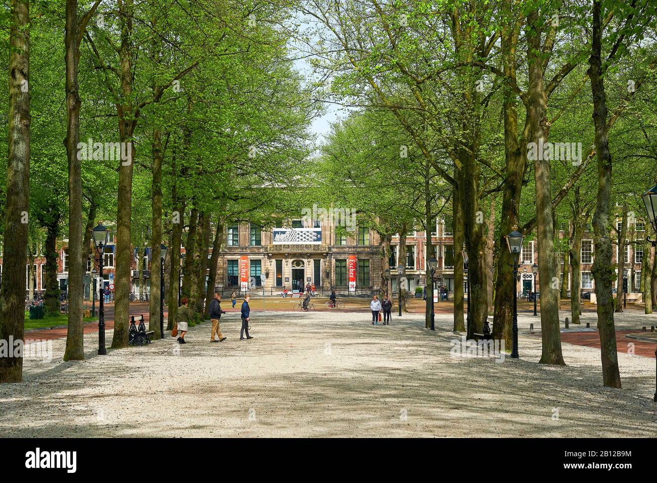 Park Allee on the Voorhout with a view of the Escher Museum in Het Paleis, The Hague, South Holland, Netherlands, Benelux Stock Photo