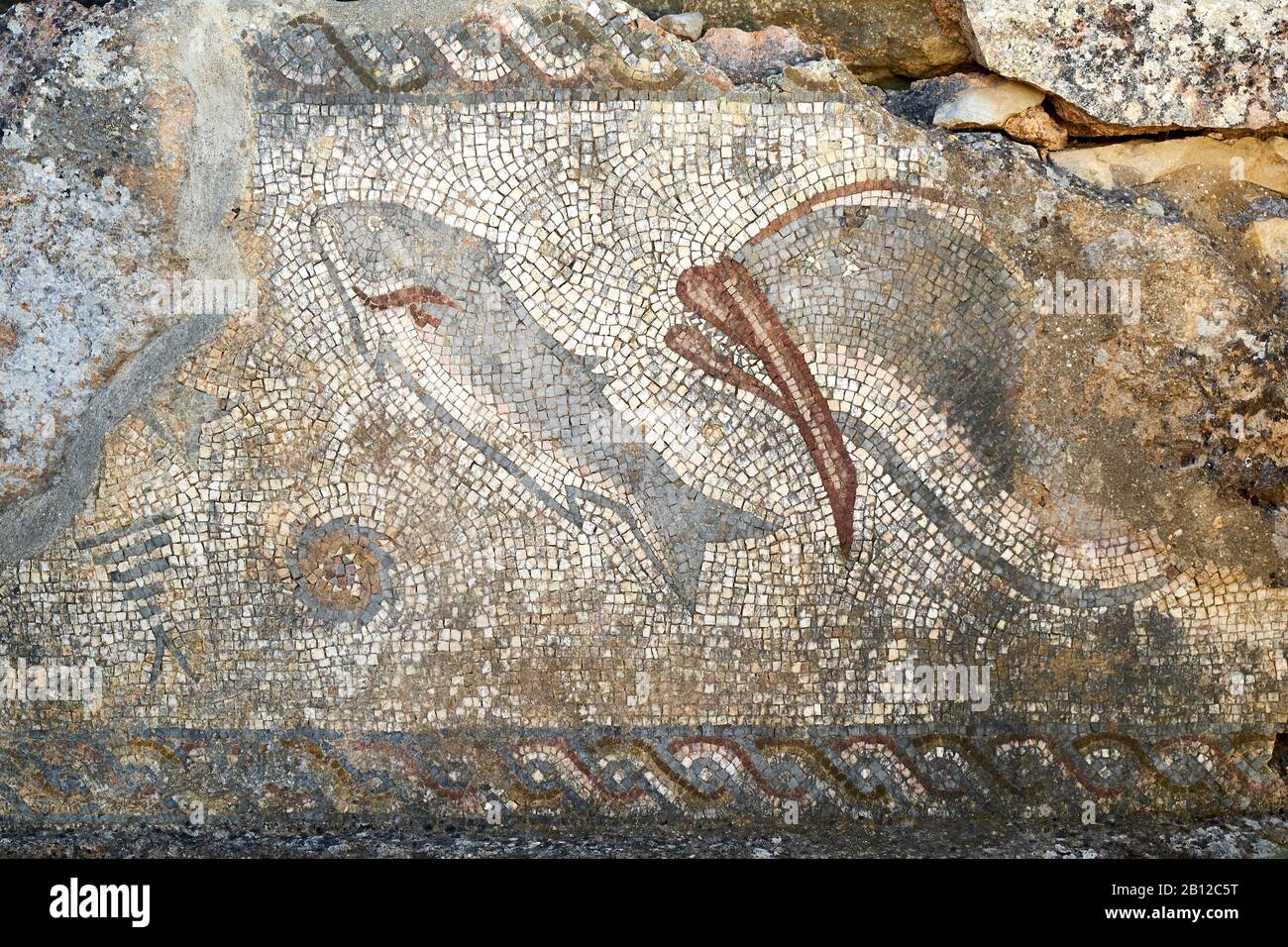 Roman mosaic in the ruins of Milreu archeological site, near Faro, Estói, Algarve, Faro, Portugal Stock Photo