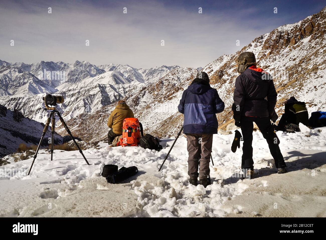 Tourist expedition searching snow leopard in Ulley valley. Ladakh ...