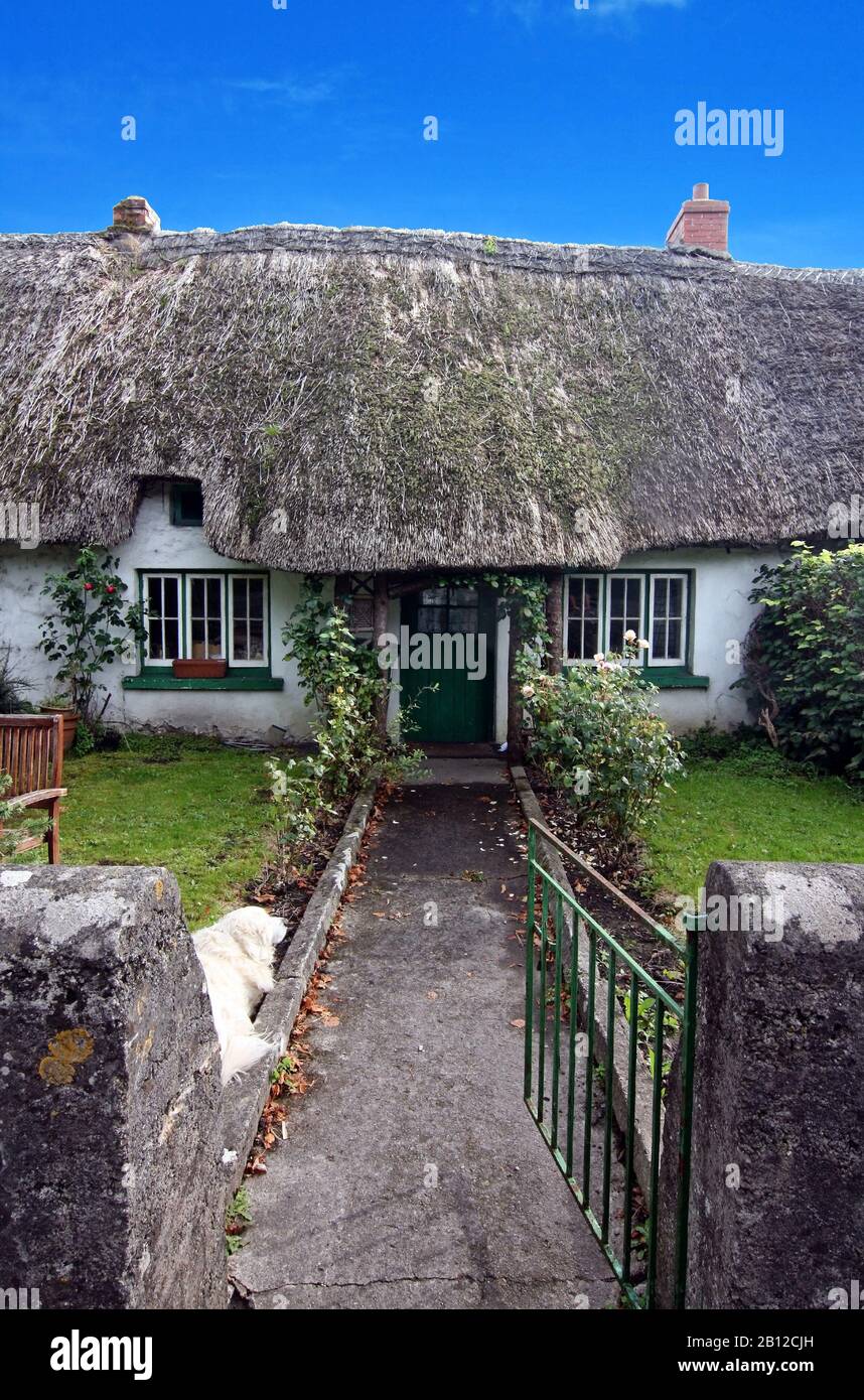 Irish traditional cottage house of Adare ireland Stock Photo Alamy