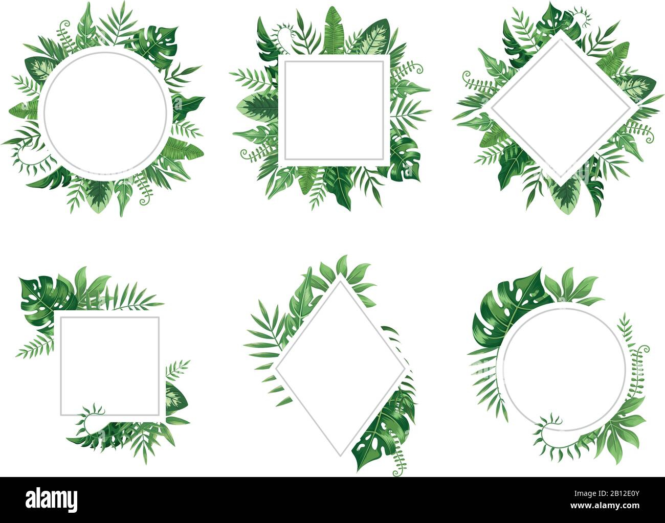 Exotic leaf frame. Spring leaves card, tropical tree frames and vintage floral jungle border isolated vector set Stock Vector