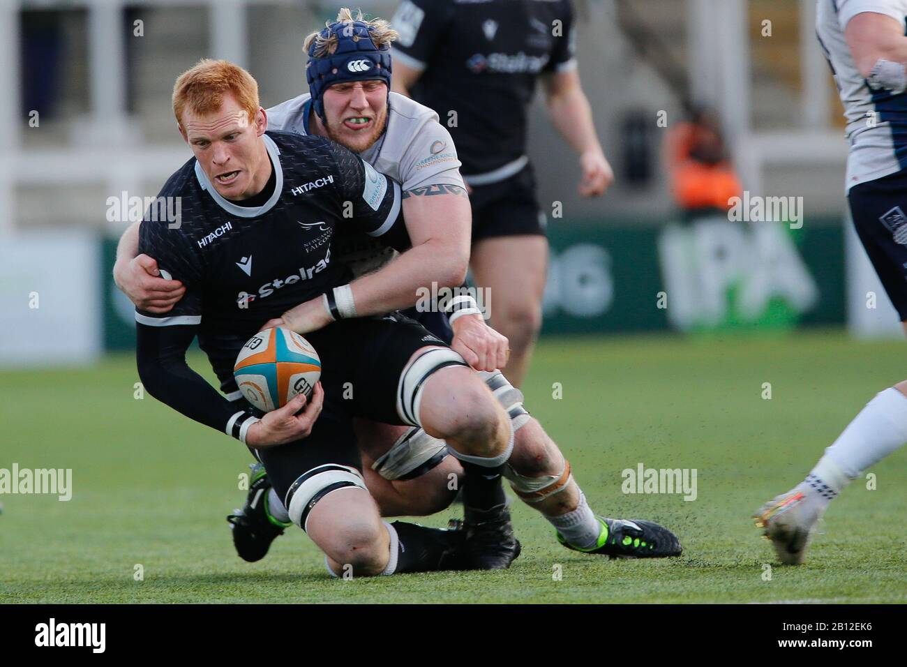 Newcastle, UK. 22nd Feb, 2020. Philip van der Walt of Newcastle Falcons is tackled during the Greene King IPA Championship match between Newcastle Falcons and London Scottish at Kingston Park, Newcastle on Saturday 22nd February 2020. (Credit: Chris Lishman | MI News) Credit: MI News & Sport /Alamy Live News Stock Photo