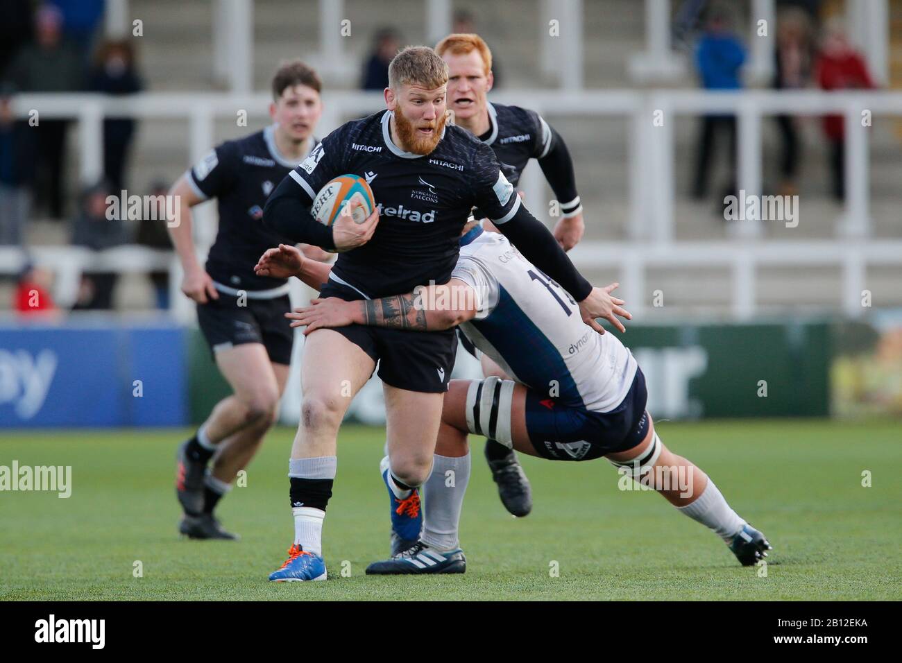 Newcastle, UK. 22nd Feb, 2020. Charlie Maddison of Newcastle Falcons in action during the Greene King IPA Championship match between Newcastle Falcons and London Scottish at Kingston Park, Newcastle on Saturday 22nd February 2020. (Credit: Chris Lishman | MI News) Credit: MI News & Sport /Alamy Live News Stock Photo
