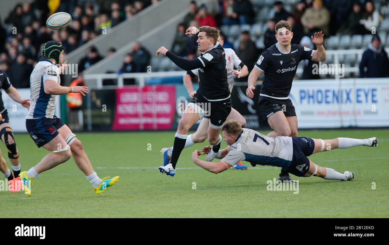 Newcastle, UK. 22nd Feb, 2020. Toby Flood of Newcastle Falcons offloads in the tackle during the Greene King IPA Championship match between Newcastle Falcons and London Scottish at Kingston Park, Newcastle on Saturday 22nd February 2020. (Credit: Chris Lishman | MI News) Credit: MI News & Sport /Alamy Live News Stock Photo