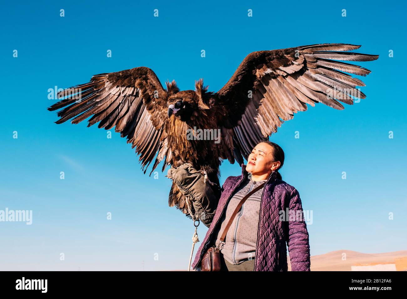 Mongolian with cinereous vulture (Aegypius monachus), Mongolia Stock Photo