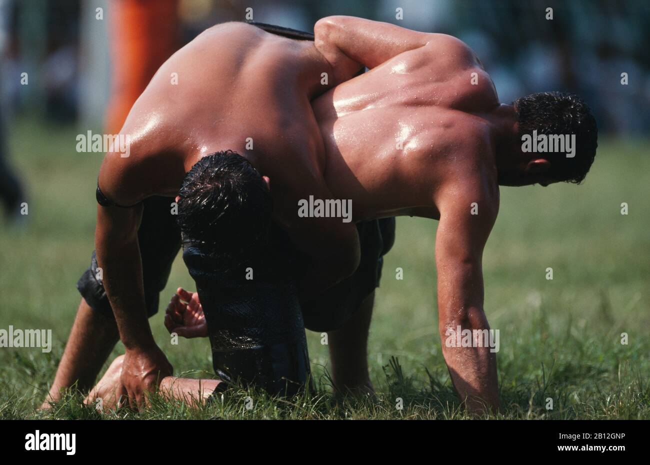 Oil wrestling at the historic Kirkpinar tournament,Edirne,Turkey Stock Photo