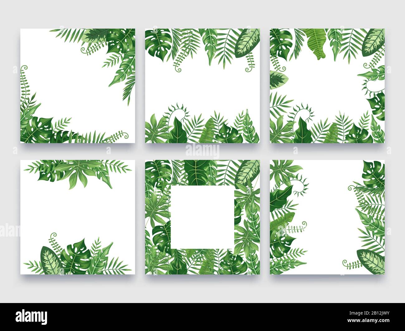 Exotic Leaves Frame Tropical Leaf Border Nature Summer Frames And Luxury Palm Leaves Borders