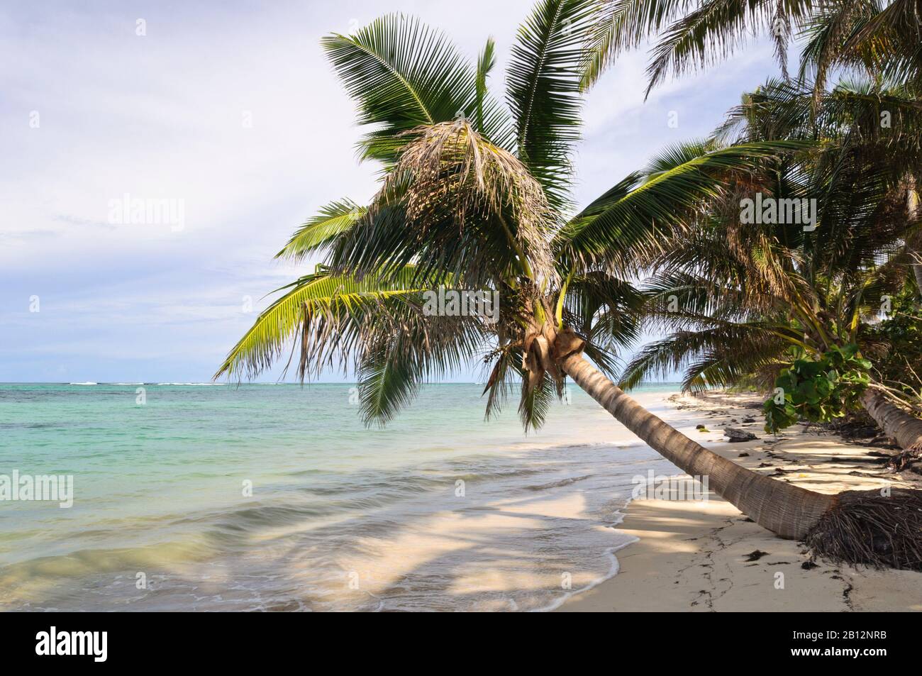 Caribbean coastal landscape,Little Corn Island,Nicaragua,Central America Stock Photo